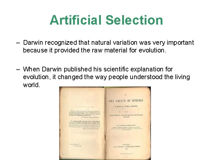 Artificial Selection – Darwin recognized that natural variation was very important because it provided