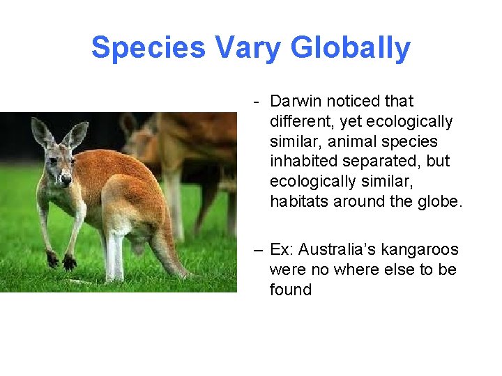 Species Vary Globally - Darwin noticed that different, yet ecologically similar, animal species inhabited