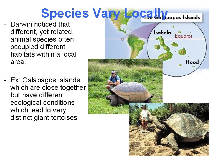 Species Vary Locally - Darwin noticed that different, yet related, animal species often occupied