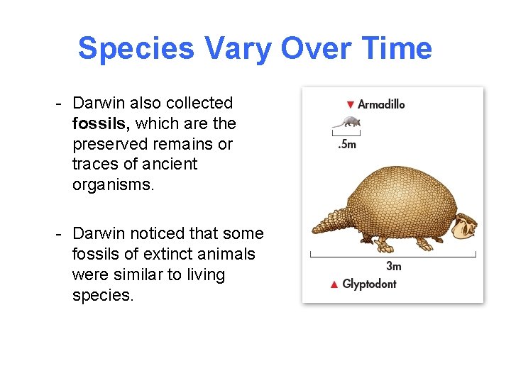 Species Vary Over Time - Darwin also collected fossils, which are the preserved remains