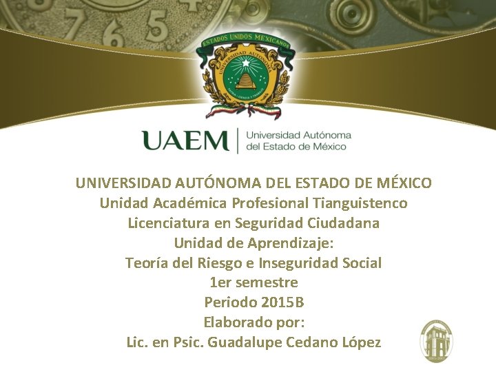 UNIVERSIDAD AUTÓNOMA DEL ESTADO DE MÉXICO Unidad Académica Profesional Tianguistenco Licenciatura en Seguridad Ciudadana