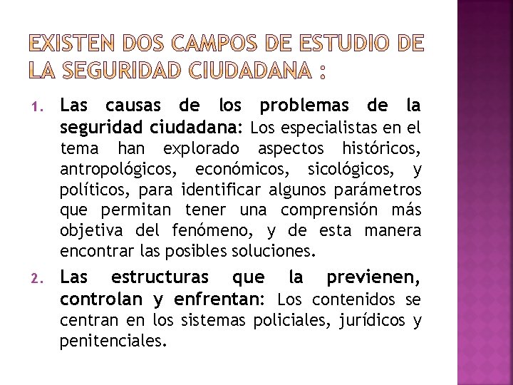 1. Las causas de los problemas de la seguridad ciudadana: Los especialistas en el