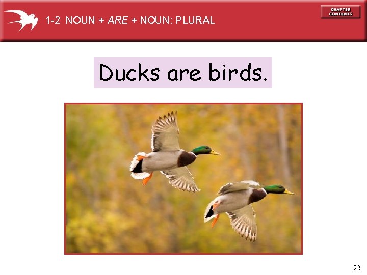 1 -2 NOUN + ARE + NOUN: PLURAL Ducks are birds. 22 