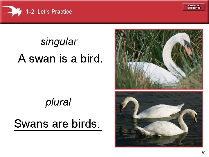 1 -2 Let’s Practice singular A swan is a bird. plural Swans are birds.