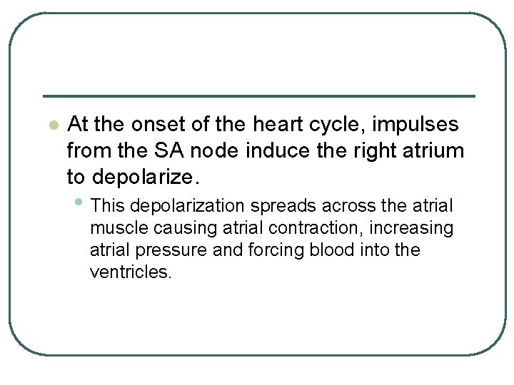 l At the onset of the heart cycle, impulses from the SA node induce