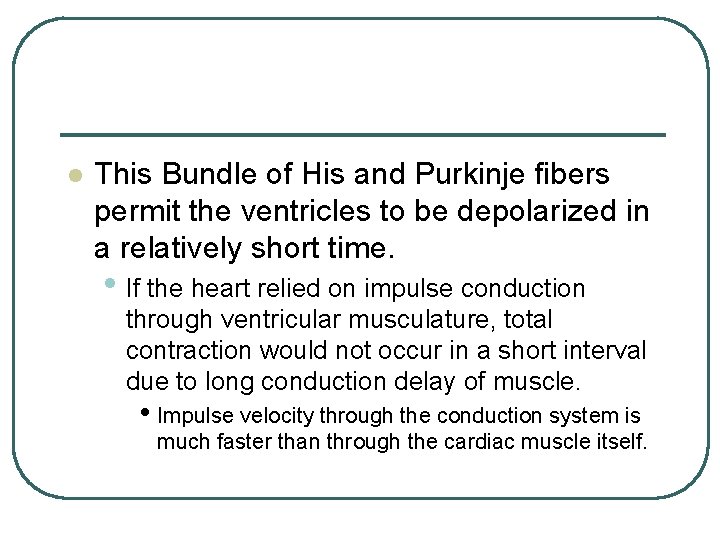 l This Bundle of His and Purkinje fibers permit the ventricles to be depolarized