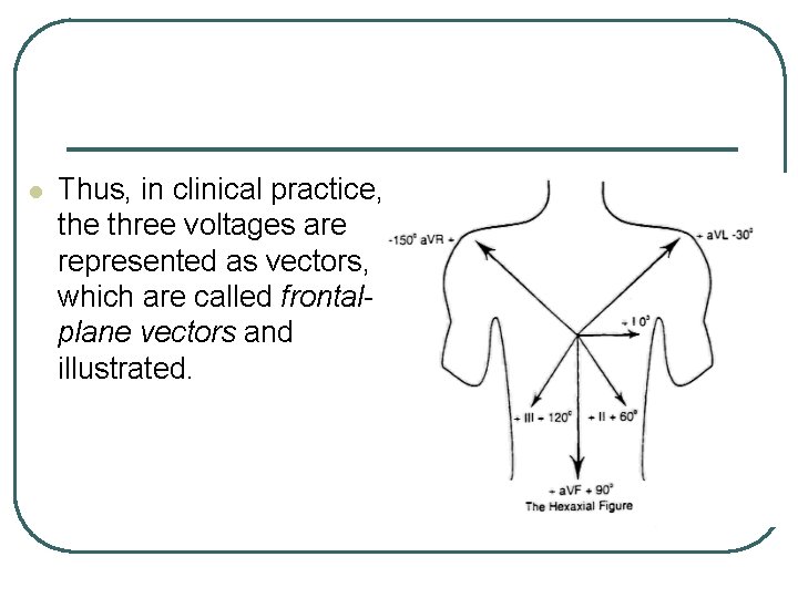 l Thus, in clinical practice, the three voltages are represented as vectors, which are l Thus, in clinical practice, the three voltages are represented as vectors, which are
