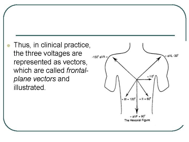 l Thus, in clinical practice, the three voltages are represented as vectors, which are