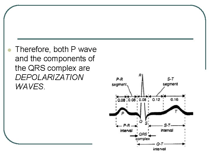 l Therefore, both P wave and the components of the QRS complex are DEPOLARIZATION