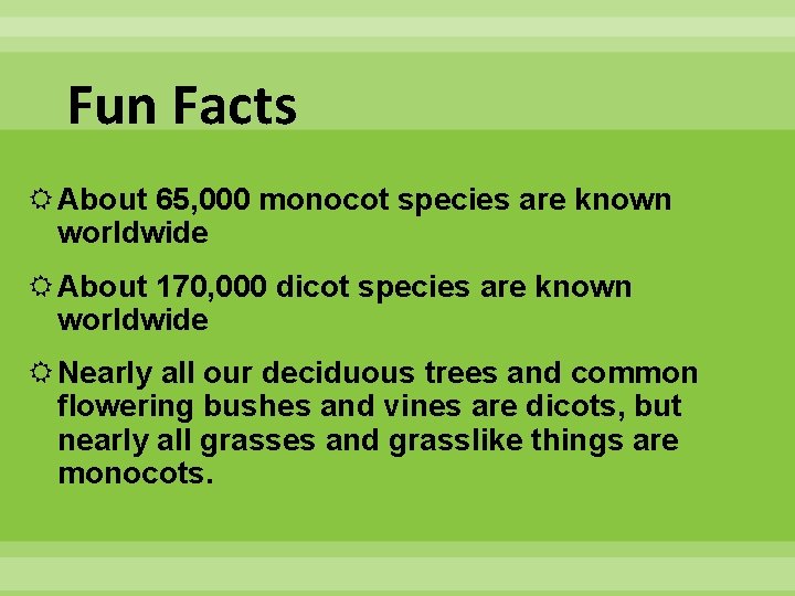 Fun Facts About 65, 000 monocot species are known worldwide About 170, 000 dicot