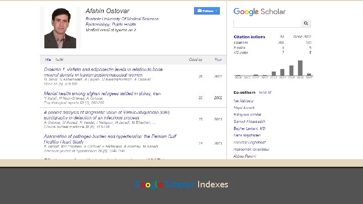 Google Scholar Indexes 