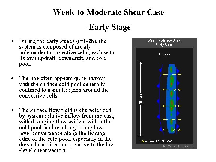 Weak-to-Moderate Shear Case - Early Stage • During the early stages (t=1 -2 h),