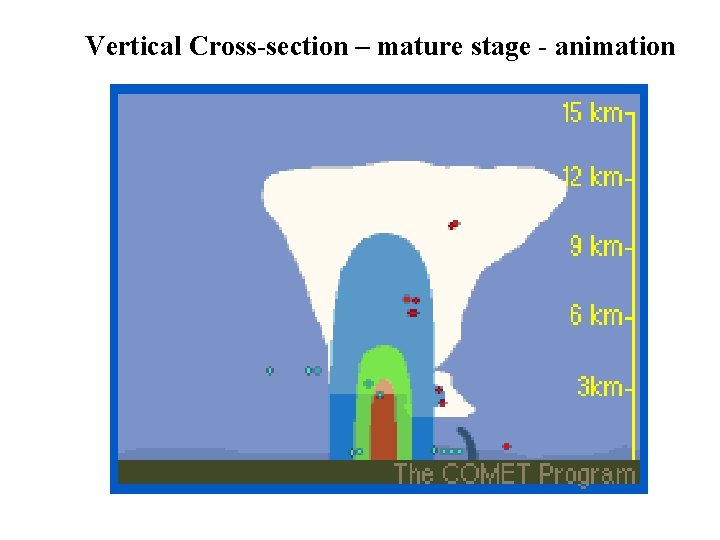 Vertical Cross-section – mature stage - animation 