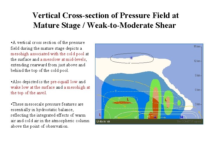 Vertical Cross-section of Pressure Field at Mature Stage / Weak-to-Moderate Shear • A vertical