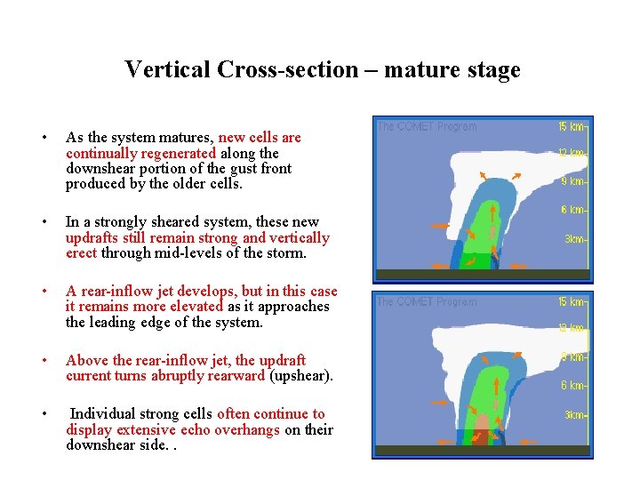 Vertical Cross-section – mature stage • As the system matures, new cells are continually