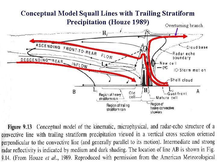 Conceptual Model Squall Lines with Trailing Stratiform Precipitation (Houze 1989) Overturning branch 