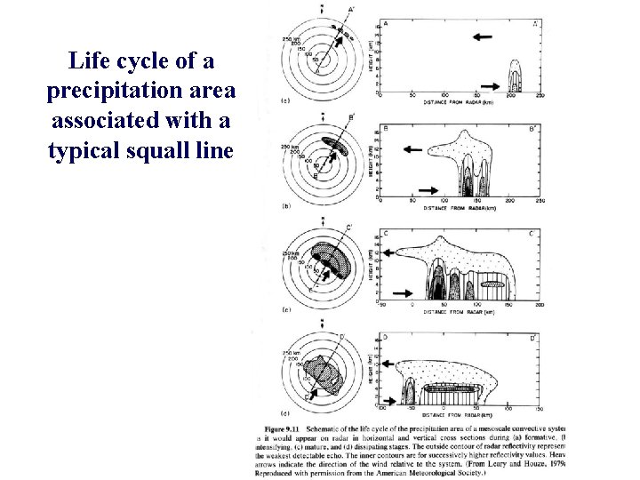 Life cycle of a precipitation area associated with a typical squall line 