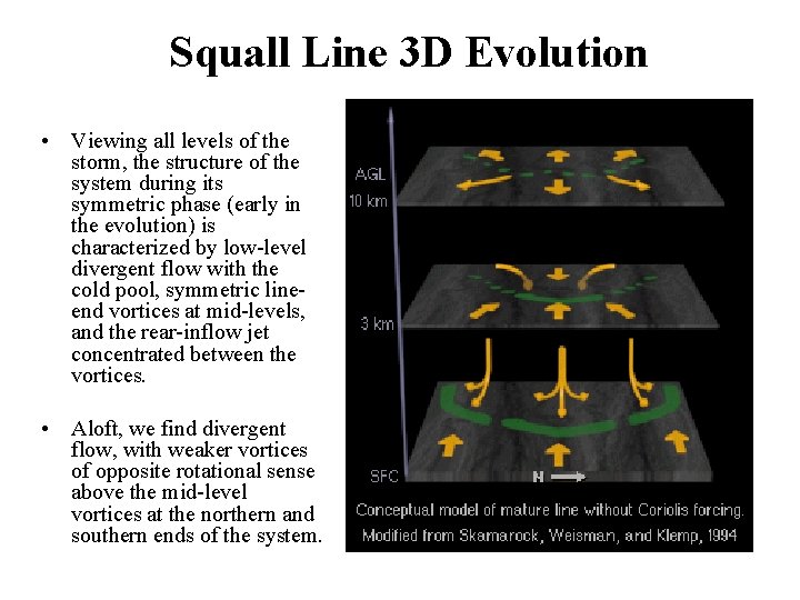 Squall Line 3 D Evolution • Viewing all levels of the storm, the structure