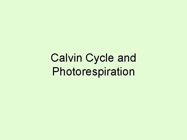 Calvin Cycle and Photorespiration 