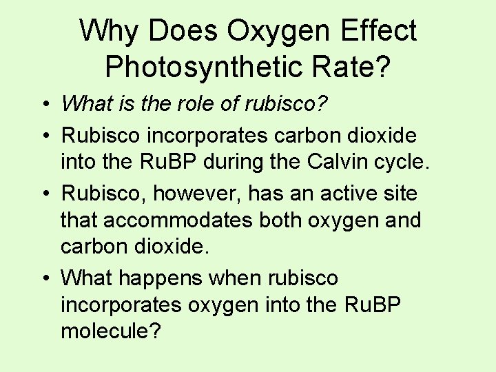 Why Does Oxygen Effect Photosynthetic Rate? • What is the role of rubisco? •