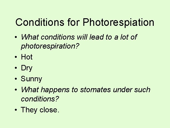 Conditions for Photorespiation • What conditions will lead to a lot of photorespiration? •