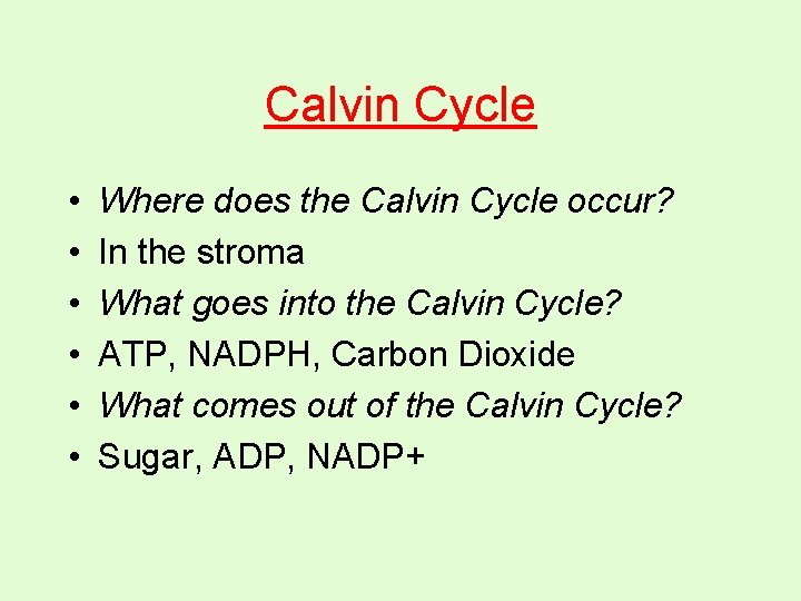 Calvin Cycle • • • Where does the Calvin Cycle occur? In the stroma