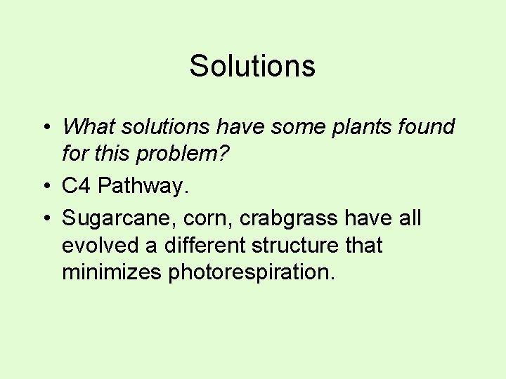 Solutions • What solutions have some plants found for this problem? • C 4