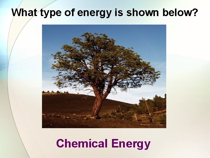 What type of energy is shown below? Chemical Energy 