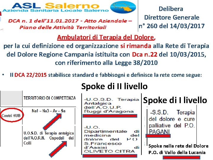 Delibera Direttore Generale n° 260 del 14/03/2017 Ambulatori di Terapia del Dolore, per la