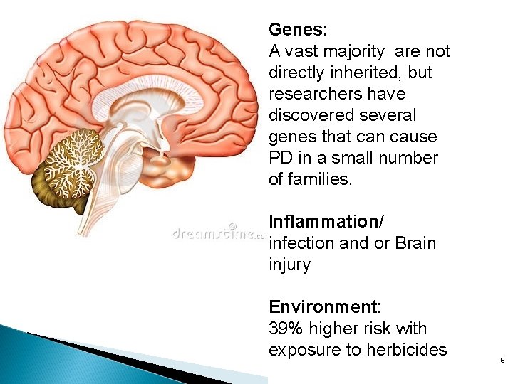 Genes: A vast majority are not directly inherited, but researchers have discovered several genes