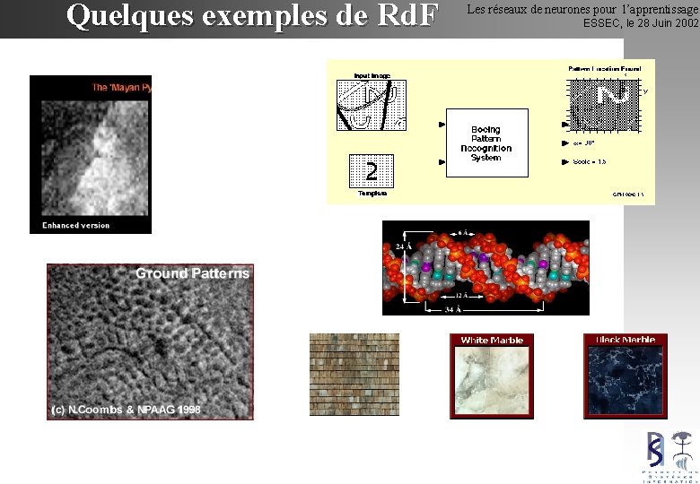 Quelques exemples de Rd. F Les réseaux de neurones pour l’apprentissage ESSEC, le 28