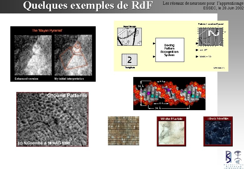 Quelques exemples de Rd. F Les réseaux de neurones pour l’apprentissage ESSEC, le 28