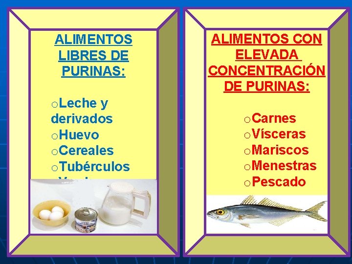 ALIMENTOS LIBRES DE PURINAS: o. Leche y derivados o. Huevo o. Cereales o. Tubérculos