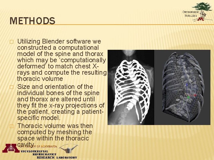 METHODS � � � Utilizing Blender software we constructed a computational model of the