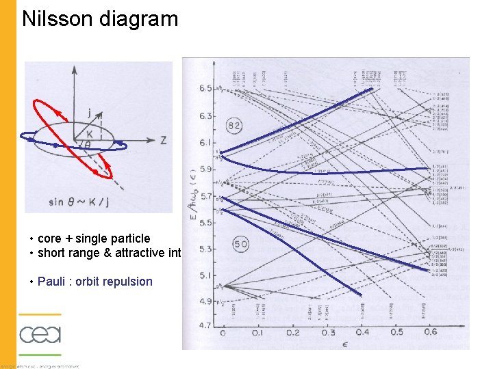 Nilsson diagram K =7/2 K =5/2 K =3/2 - nlj=1 f 7/2 0 •