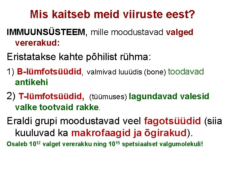 Mis kaitseb meid viiruste eest? IMMUUNSÜSTEEM, mille moodustavad valged vererakud: Eristatakse kahte põhilist rühma: