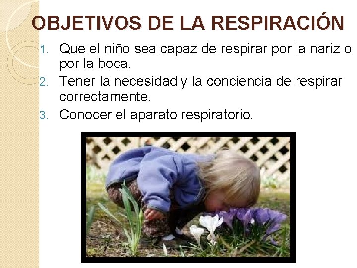 OBJETIVOS DE LA RESPIRACIÓN Que el niño sea capaz de respirar por la nariz