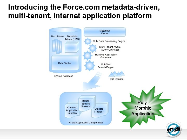Introducing the Force. com metadata-driven, multi-tenant, Internet application platform Poly. Morphic Application 