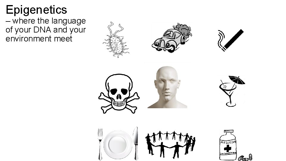 Epigenetics – where the language of your DNA and your environment meet 