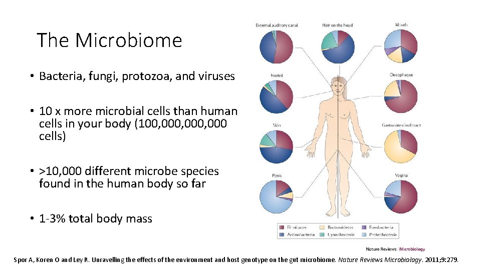 The Microbiome • Bacteria, fungi, protozoa, and viruses • 10 x more microbial cells