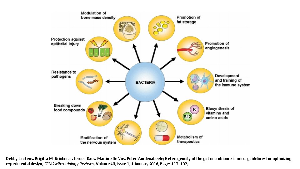 Debby Laukens, Brigitta M. Brinkman, Jeroen Raes, Martine De Vos, Peter Vandenabeele; Heterogeneity of