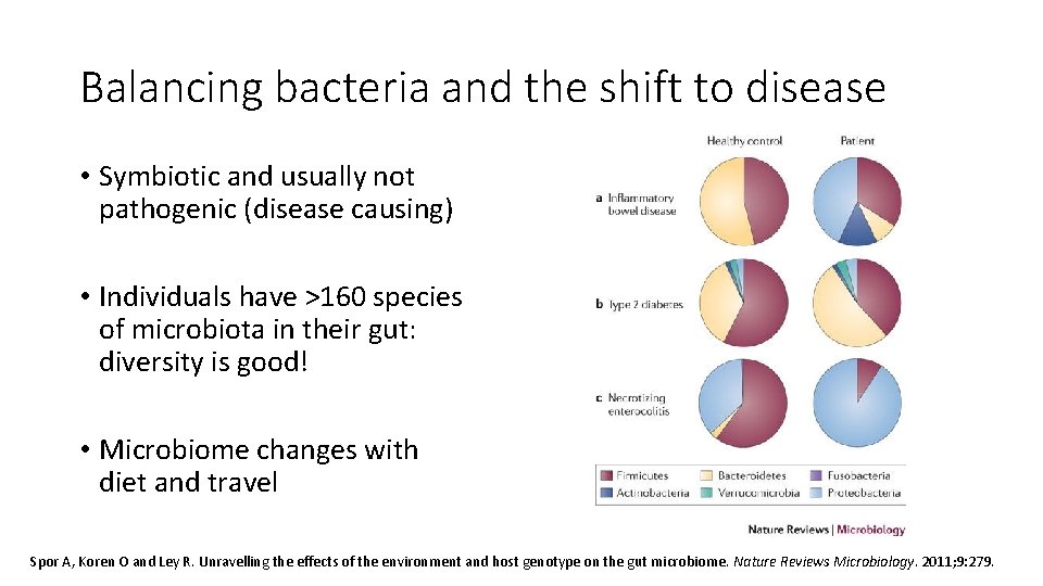 Balancing bacteria and the shift to disease • Symbiotic and usually not pathogenic (disease