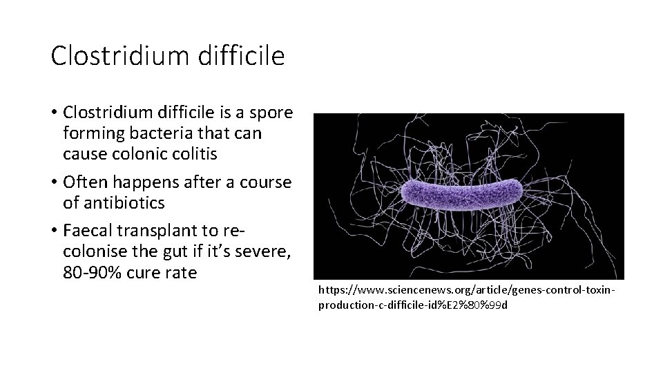 Clostridium difficile • Clostridium difficile is a spore forming bacteria that can cause colonic