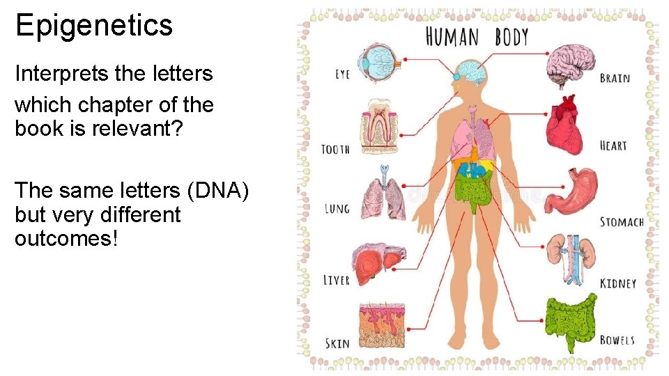 Epigenetics Interprets the letters which chapter of the book is relevant? The same letters