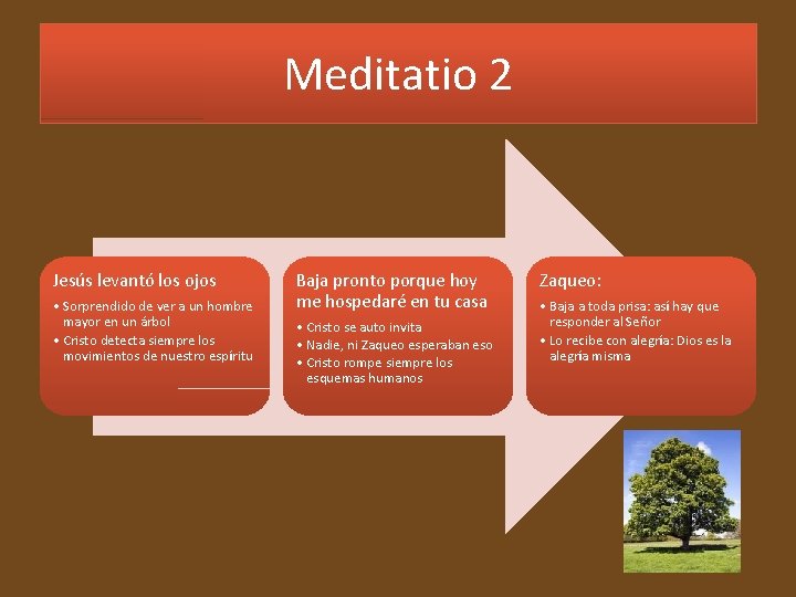 Meditatio 2 Jesús levantó los ojos • Sorprendido de ver a un hombre mayor