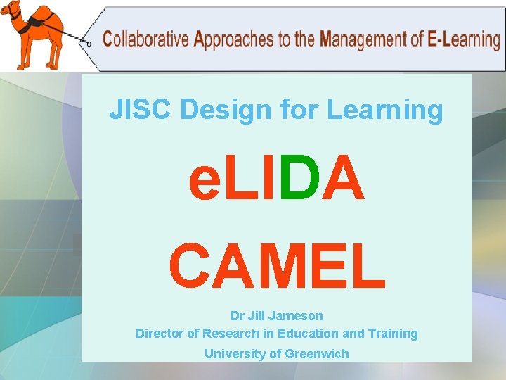 JISC Design for Learning e. LIDA CAMEL Dr Jill Jameson Director of Research in