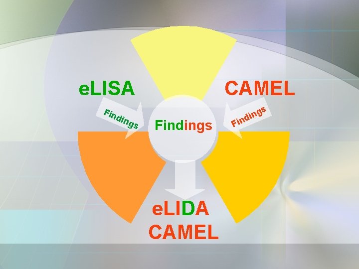 CAMEL e. LISA Fin din g s s Findings e. LIDA CAMEL Fin g