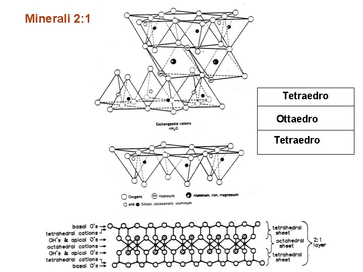 Minerali 2: 1 Tetraedro Ottaedro Tetraedro 