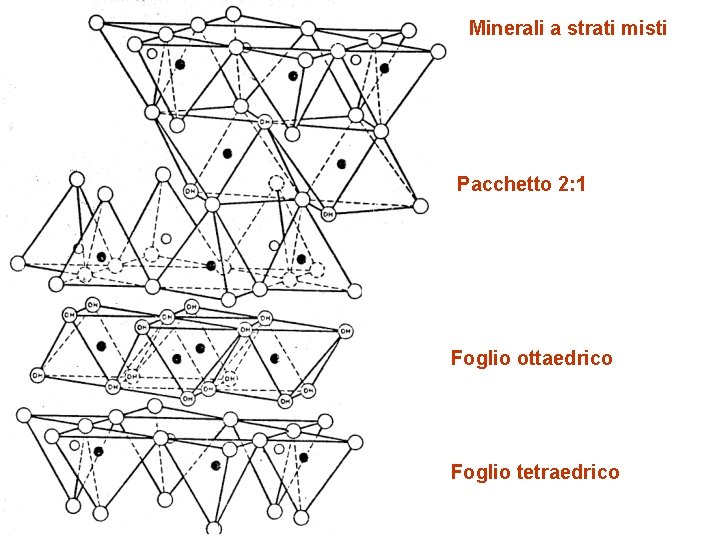 Minerali a strati misti Pacchetto 2: 1 Foglio ottaedrico Foglio tetraedrico 