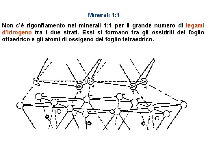 Minerali 1: 1 Non c’è rigonfiamento nei minerali 1: 1 per il grande numero